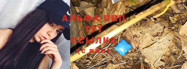дмт Абаза