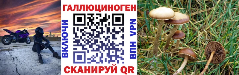 Галлюциногенные грибы мицелий  shop состав  Сурск 
